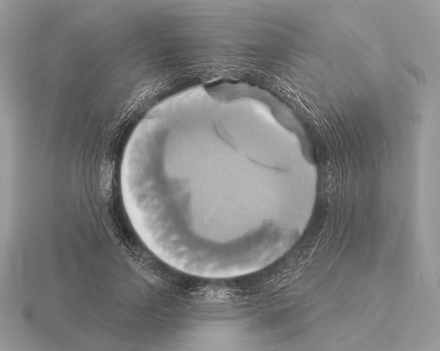 X0000115330742200912141219