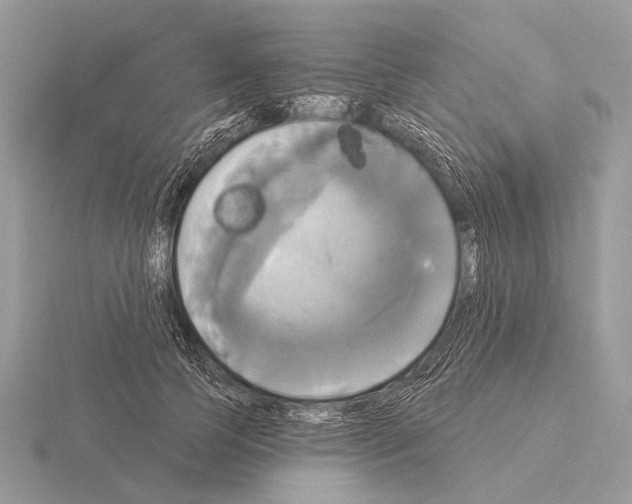 X0000115330745200912141219