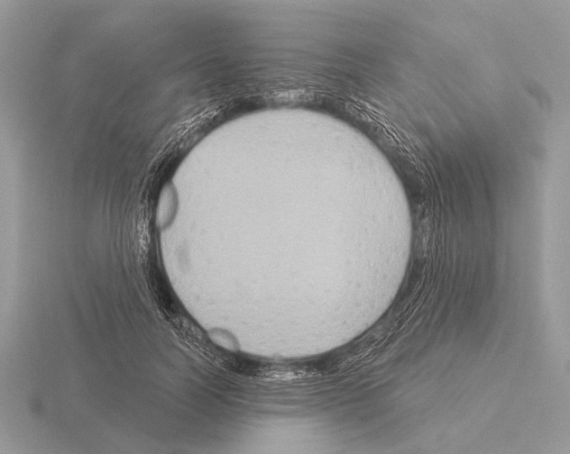 X0000115330746200912141219