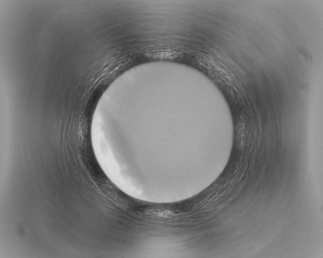 X0000115330747200912141219