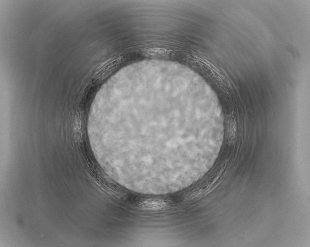 X0000115330749200912141219