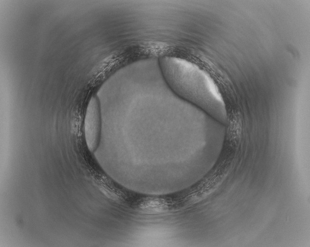 X0000115330750200912141219