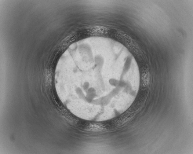 X0000115330753200912141219