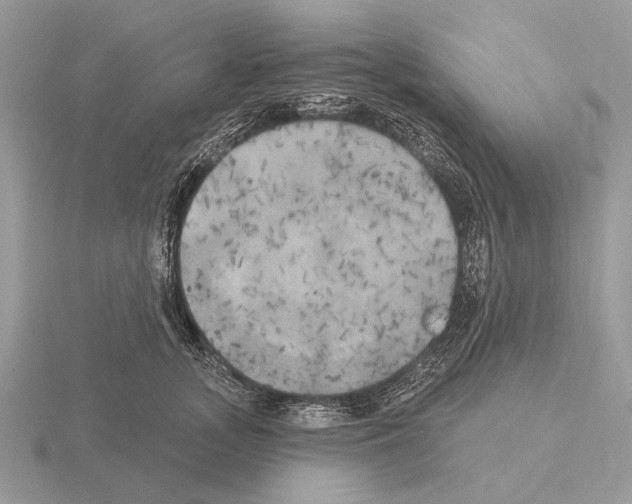 X0000115330755200912141219