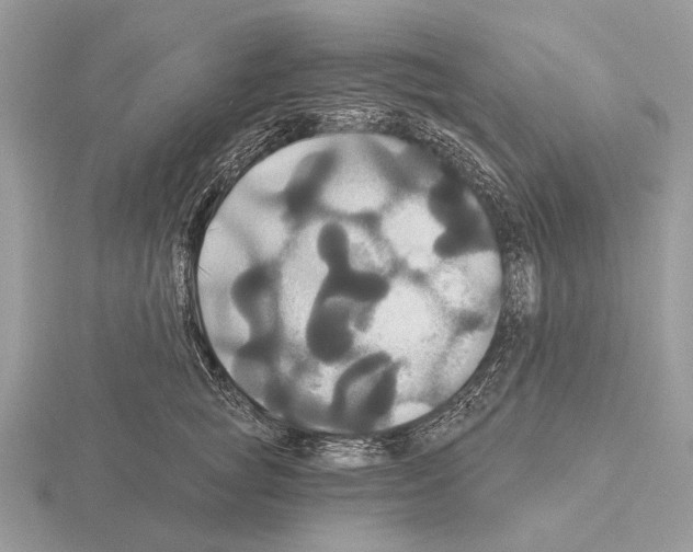 X0000115330757200912141219