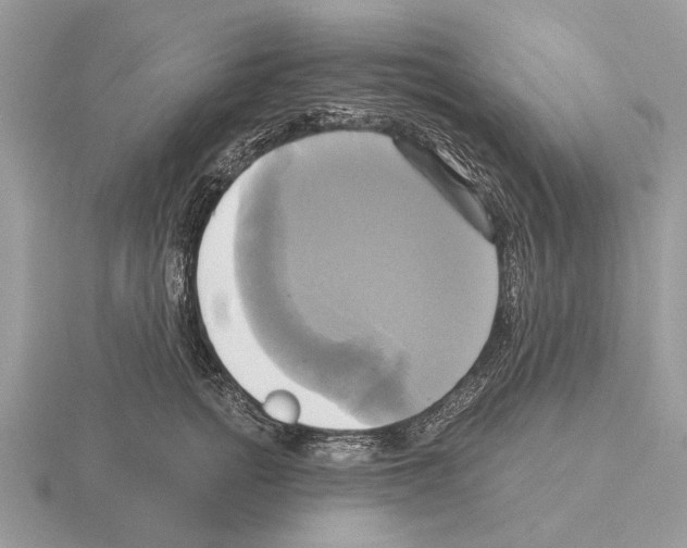 X0000115330758200912141219