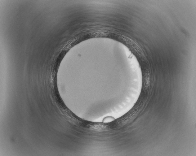 X0000115330759200912141219