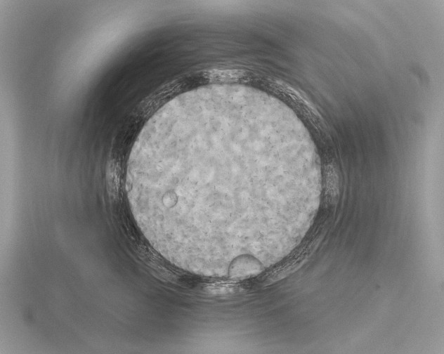 X0000115330761200912141219