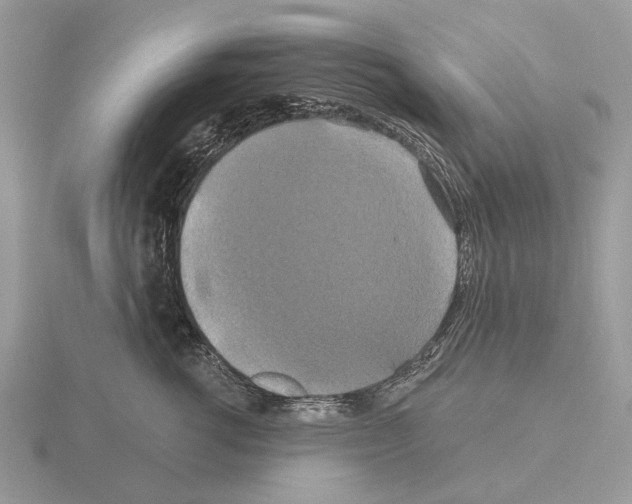 X0000115330762200912141219