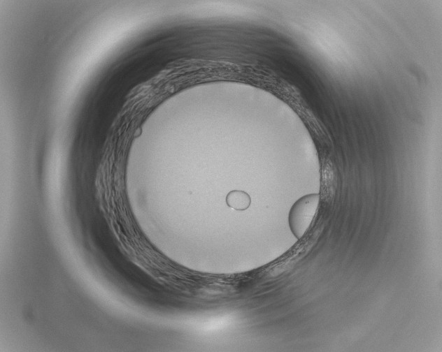 X0000115330765200912141219