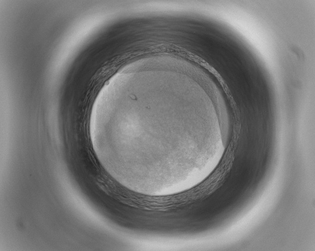 X0000115330766200912141219