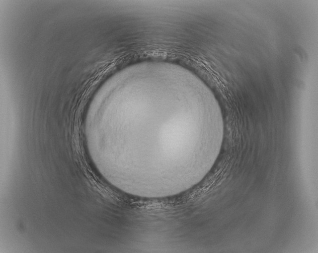 X0000115330769200912141218