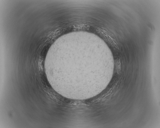 X0000115330770200912141218