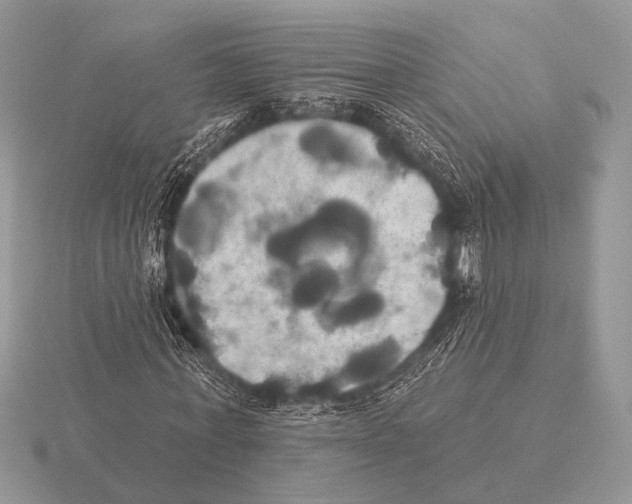 X0000115330771200912141218