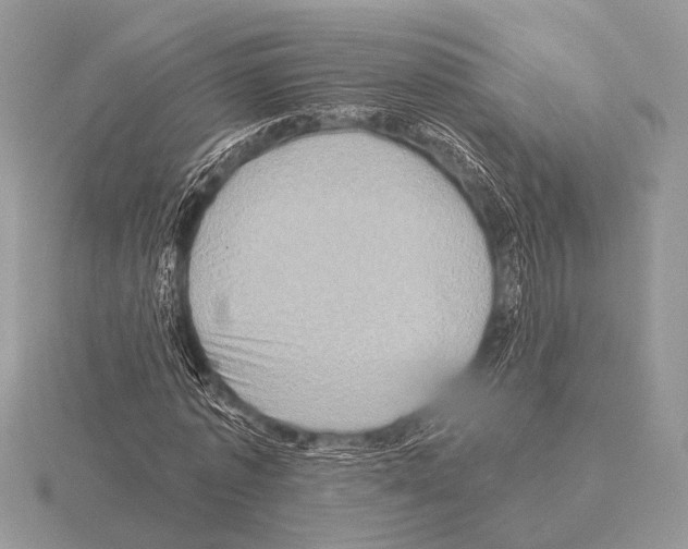 X0000115330773200912141218