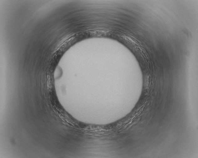 X0000115330774200912141218