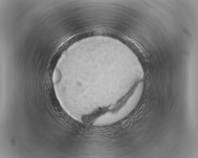 X0000115330776200912141218