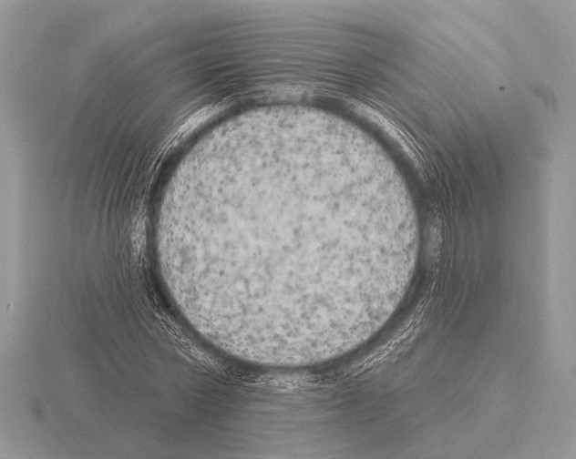 X0000115330778200912141218