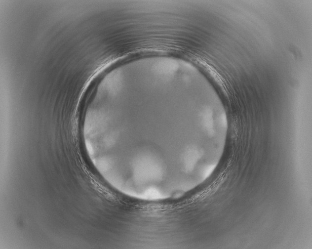 X0000115330779200912141218