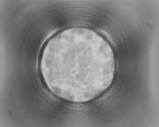 X0000115330780200912141218