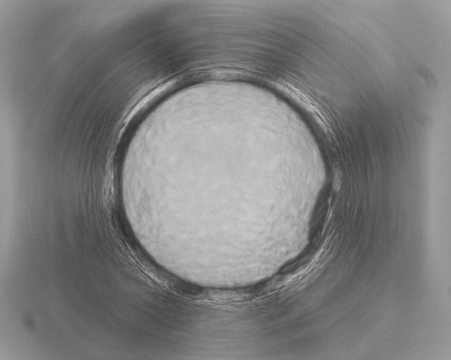 X0000115330782200912141218