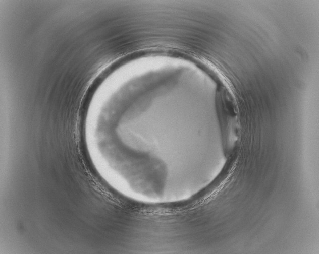 X0000115330783200912141218