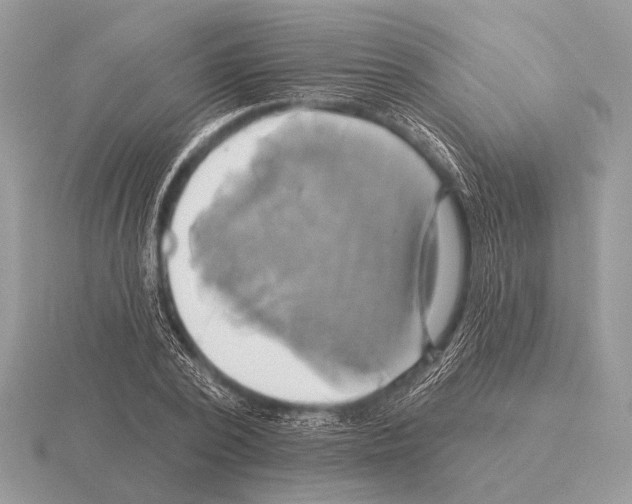 X0000115330784200912141218