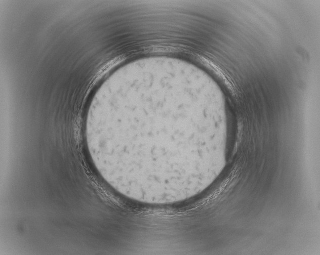 X0000115330786200912141218