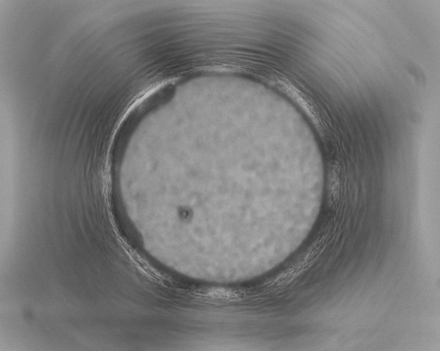 X0000115330787200912141218