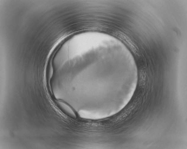 X0000115330788200912141218