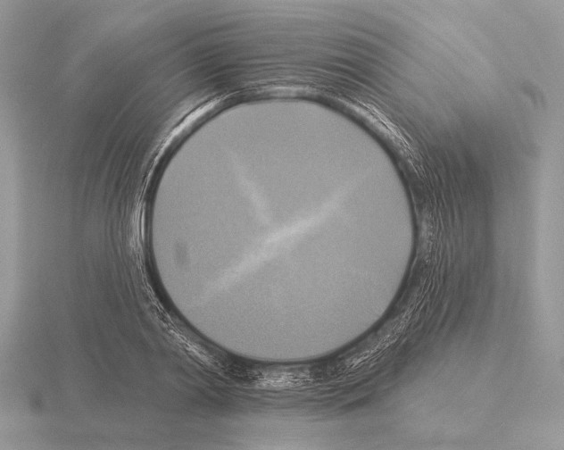 X0000115330790200912141218