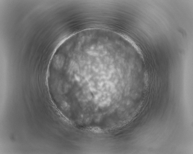 X0000115330791200912141218