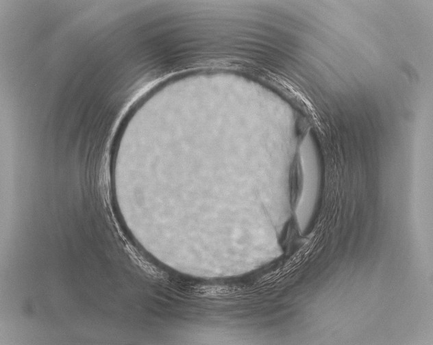 X0000115330792200912141218