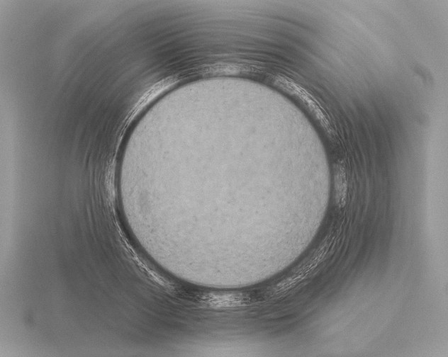 X0000115330794200912141218