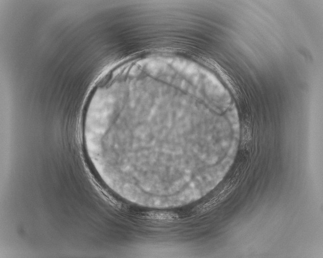 X0000115330795200912141218