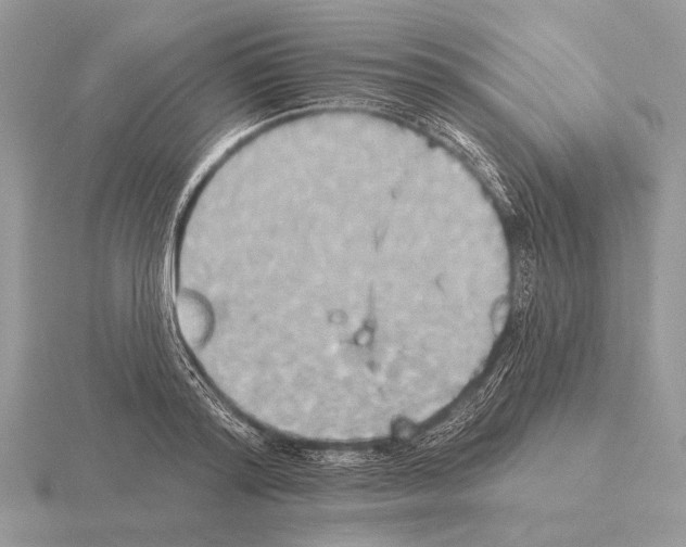 X0000115330796200912141218