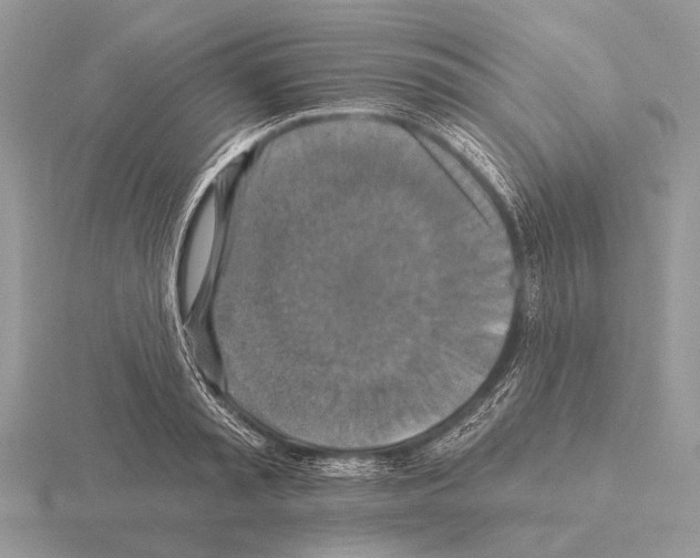 X0000115330797200912141218