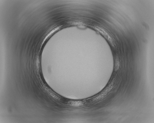 X0000115330798200912141218