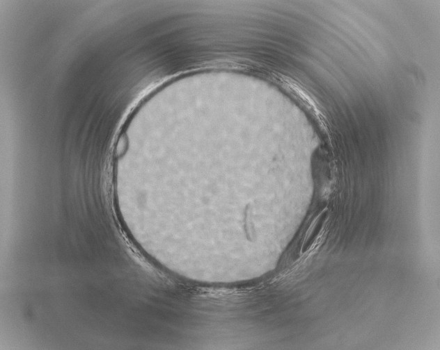 X0000115330800200912141218