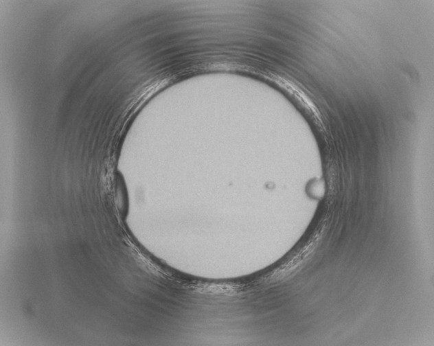 X0000115330801200912141218