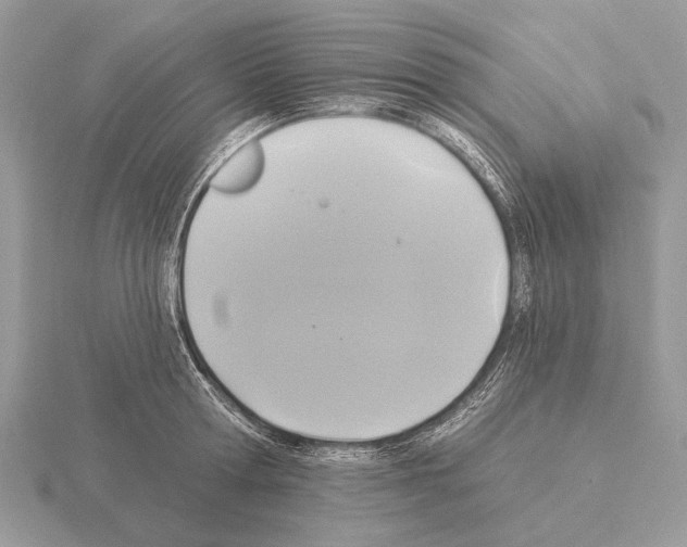 X0000115330802200912141218