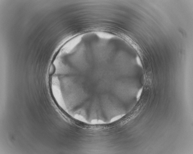 X0000115330803200912141218