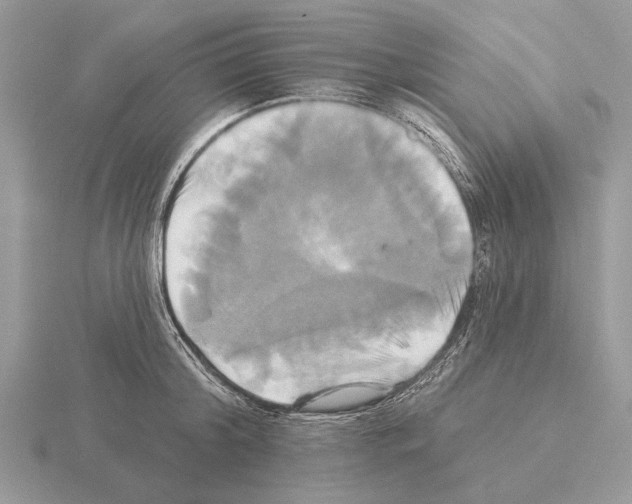 X0000115330804200912141218