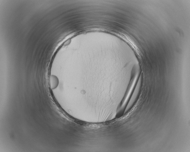 X0000115330806200912141218