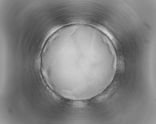 X0000115330807200912141218