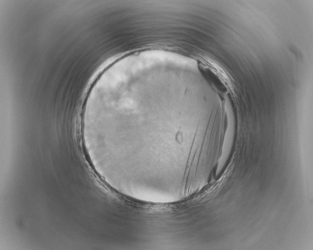 X0000115330808200912141218