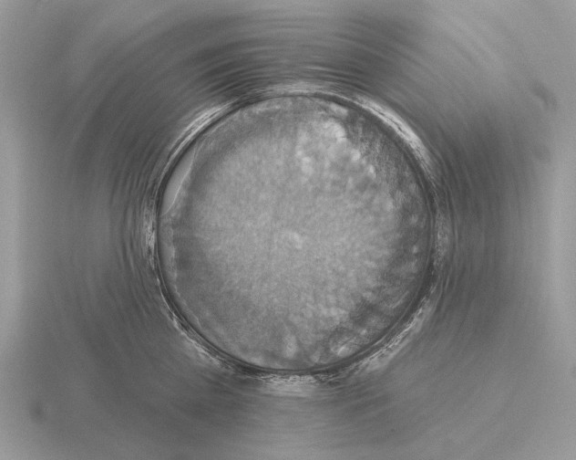 X0000115330809200912141218