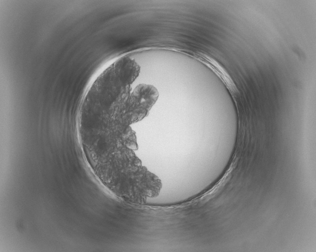 X0000115330812200912141218