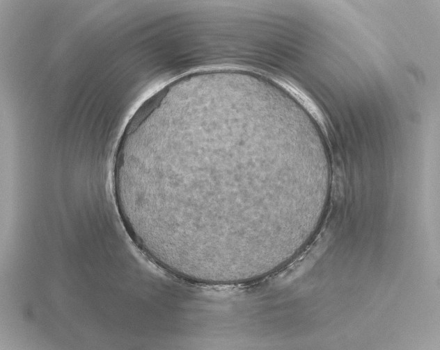 X0000115330813200912141218