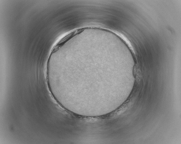 X0000115330815200912141218